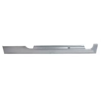Plaque de seuil BLIC 6505-06-9501002K