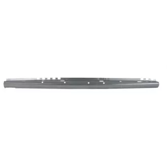 Plaque de seuil BLIC 6505-06-9514001K
