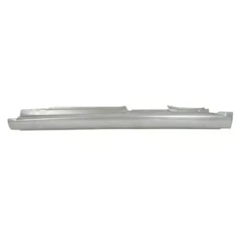 Plaque de seuil BLIC 6505-06-9516011K