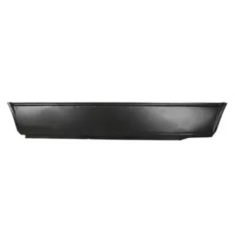 Panneau latéral BLIC 6505-06-9557001K