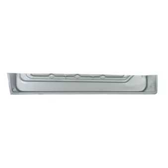 Porte, Carrosserie BLIC 6508-01-3541171P