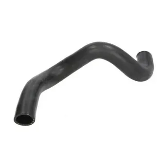 Durite de radiateur THERMOTEC