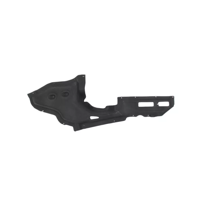 Cache moteur BLIC 6601-02-0096985P