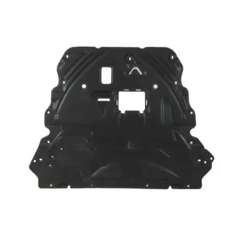 Cache moteur BLIC 6601-02-2596860P