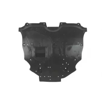 Cache moteur BLIC 6601-02-8167860P