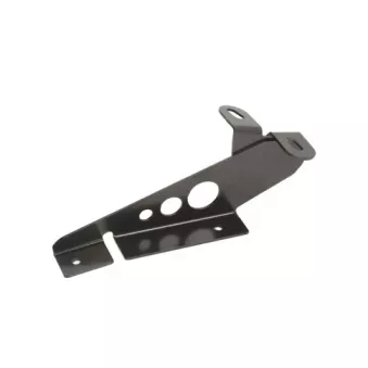 Charnière, capot-moteur BLIC 6802-00-2955452P