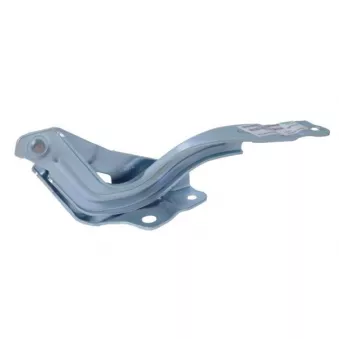 Charnière, capot-moteur BLIC 6802-00-3150456P
