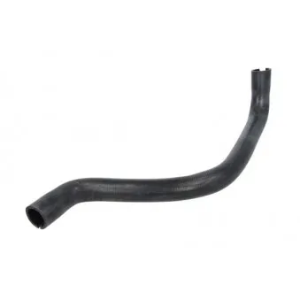 Durite de radiateur THERMOTEC DWF194TT