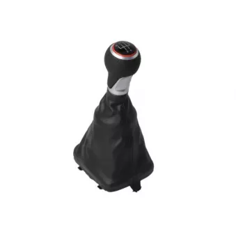 Pommeau BLIC 8800-00-0026050P