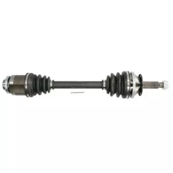 Arbre de transmission avant droit PASCAL G20051PC