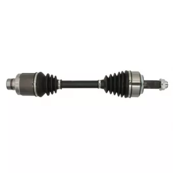 Arbre de transmission avant droit PASCAL G24015PC