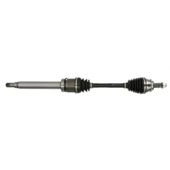 Arbre de transmission avant droit PASCAL G2B052PC