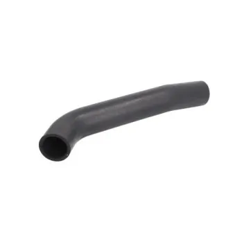 Durite de radiateur THERMOTEC DWM041TT