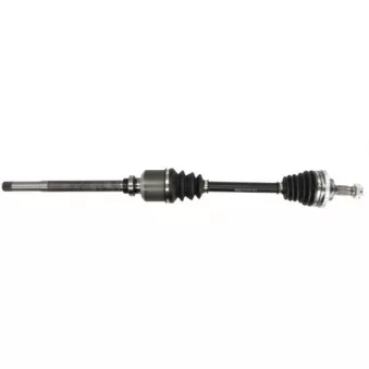 Arbre de transmission avant droit PASCAL G2P034PC