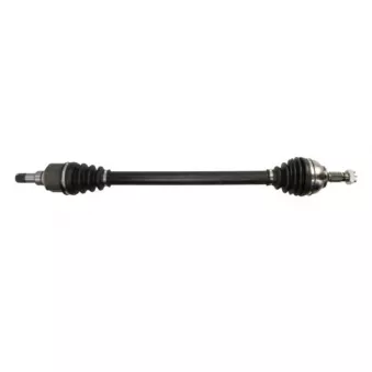 Arbre de transmission avant droit PASCAL G2P080PC