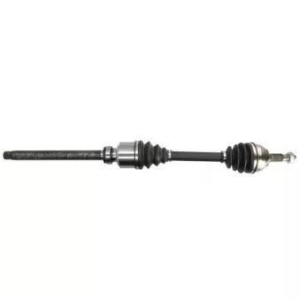 Arbre de transmission avant droit PASCAL G2P082PC
