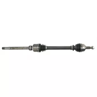 Arbre de transmission avant droit PASCAL G2P083PC