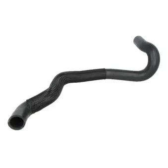 Durite de radiateur THERMOTEC DWP022TT