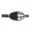 Arbre de transmission avant droit PASCAL G2V038PC - Visuel 2