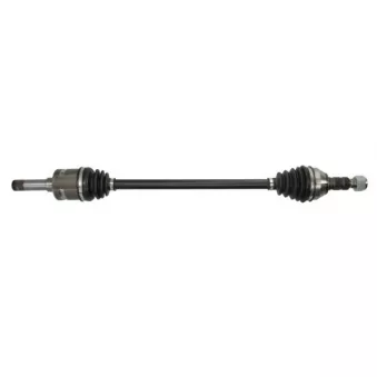 Arbre de transmission arrière droit PASCAL G2X082PC