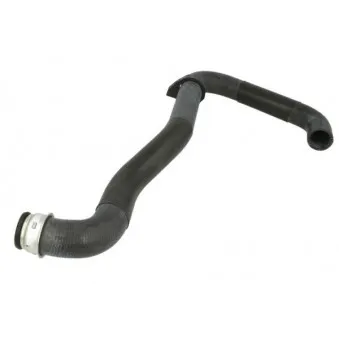 Durite de radiateur THERMOTEC DWP135TT