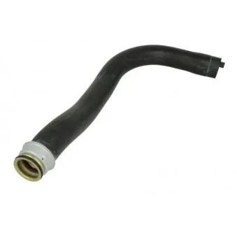 Durite de radiateur THERMOTEC DWP136TT