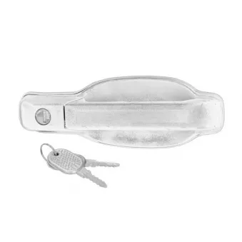 Poignée extérieure de porte avant gauche PACOL IVE-DH-0017