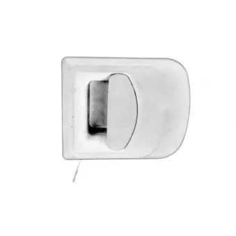 Poignée extérieure de porte avant gauche PACOL IVE-DH-0019