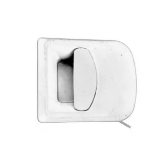 Poignée extérieure de porte avant droit PACOL IVE-DH-0020