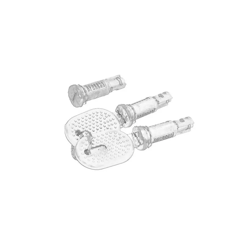 Jeu de cylindres de serrures PACOL IVE-DH-021