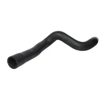 Durite de radiateur THERMOTEC DWX094TT