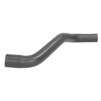 Durite de radiateur THERMOTEC DWX097TT