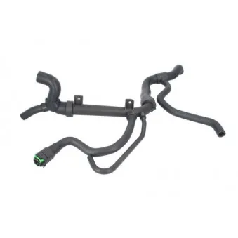 Durite de radiateur THERMOTEC DWX099TT