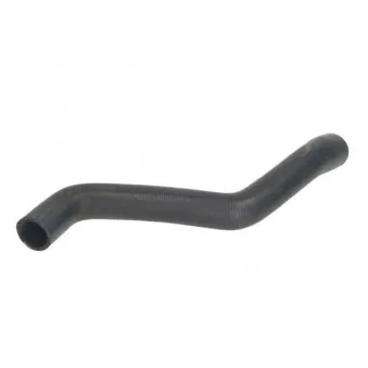 Durite de radiateur THERMOTEC DWX112TT