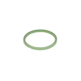 Bague d'étanchéité, gaine de suralimentation THERMOTEC DXW008TT