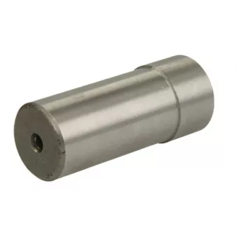 Pivot de fusée d'essieu S-TR STR-15A144
