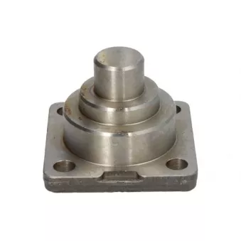 Pivot de fusée d'essieu S-TR STR-15A148