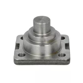 Pivot de fusée d'essieu S-TR STR-15A150