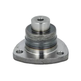 Pivot de fusée d'essieu S-TR STR-15A178
