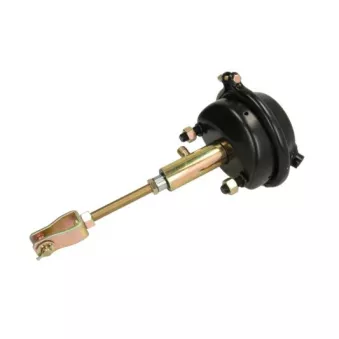 Cylindre de prétension SBP 05-BCT24/PH25