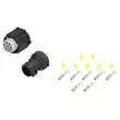 Fiche TRUCKLIGHT 7811648C - Visuel 1