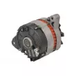 Alternateur STARDAX STX110377 - Visuel 2