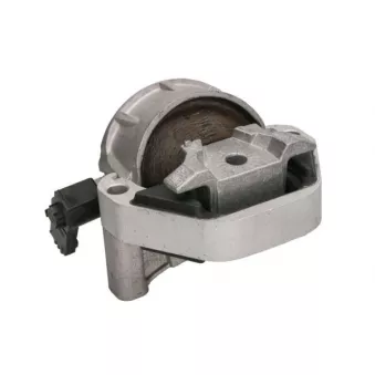 Support moteur REINHOCH RH11-0179