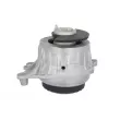Support moteur REINHOCH RH11-3159 - Visuel 2