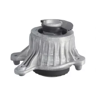Support moteur REINHOCH RH11-3160