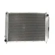 Radiateur, refroidissement du moteur THERMOTEC KTT110381 - Visuel 2
