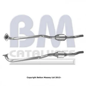 Catalyseur BM CATALYSTS BM90699H