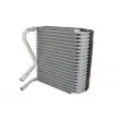 Evaporateur climatisation THERMOTEC KTT150002 - Visuel 1