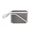 Evaporateur climatisation THERMOTEC KTT150027 - Visuel 1
