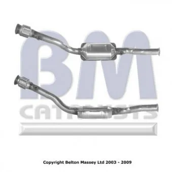 Catalyseur BM CATALYSTS BM90889H